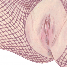 Vulva - s texty modelek